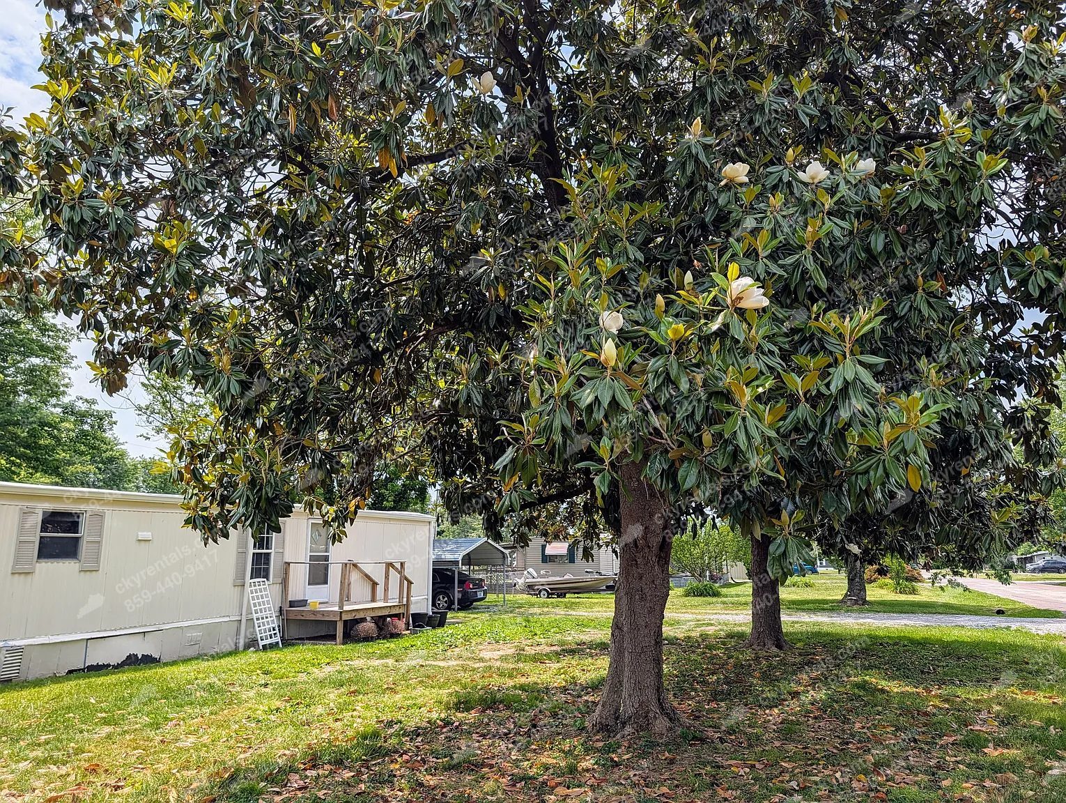 Move-in-Ready 2BR Home on a Corner Lot — Danville photo 11
